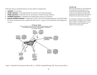 Cells that make up epithelial tissues can have distinct arrangements:
• cuboidal—for secretion
• simple columnar—brick-shaped cells; for secretion and active absorption
• simple squamous—plate-like cells; for exchange of material through diffusion
• stratiﬁed squamous—multilayered and regenerates quickly; for protection
• pseudo-stratiﬁed columnar—single layer of cells; may just look stacked because of varying height;
for lining of respiratory tract; usually lined with cilia (i.e., a type of cell modification that sweeps the
mucus).
Figure 1: Epithelial Tissue (Source: Reece JB, U. L. (2010). Campbell Biology 10th. San Francisco (CA):.) 
32
Teacher tip
Take note that the part on cell modifications
is incorporated in the discussion on the
structure of the respective cells that make
up the tissue that is being discussed. Give
emphasis on the differences on the features
of the cells that make up the tissue type.
For examples or illustrations of the different
types of tissues, it is better to use an animal
that is endemic in the Philippines or in your
specific region so that the learners can
relate more in the discussion.
 