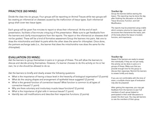 PRACTICE (60 MINS)
Divide the class into six groups. Four groups will be reporting on Animal Tissues while two groups will
be creating an infomercial on diseases caused by the malfunction of tissue types. Each infomercial
group shall cover two tissue types.
Each group will be given five minutes to report or show their infomercial. At the end of each
presentation, facilitate a five-minute critiquing of the presentation. Make sure to get feedbacks from
the learners and clarify misconceptions from the reports. The report or the infomercial on diseases shall
not be graded. These will be a kind of formative assessment.Group the learners into pairs. Ask one to
draw the mitochondria and label its parts while the other does the same for chloroplast. Once done,
the partners exchange tasks (i.e., the learner that drew the mitochondria now does the same for the
chloroplast).
EVALUATION (10 MINS)
Ask the learners to group themselves in pairs or in groups of threes. This will allow the learners to
discuss and decide among themselves. However, if a learner chooses to do this activity on his or her
own, he or she should be allowed to do so.
Ask the learners to briefly and clearly answer the following questions:
• What is the importance of having a tissue level in the hierarchy of biological organization? (2 points)
• What do the varying shapes and arrangement of epithelial tissue suggests? (2 points)
• What is the general function of connective tissues? What function is common to all types of
connective tissues? (1 point)
• Why are there voluntary and involuntary muscle tissue functions? (2 points)
• What is the importance of glial cells in nervous tissues? (1 point)
• Identify two cell modifications and describe their respective functions. (2 points)
Teacher tip
Group the learners before starting the
lesson. The reporting may be done the day
after finishing the discussion on Animal
Tissue Structure, Function, and Cell
Modification.
The reports may be presented using a table
which contains columns for tissue type, cell
structures that characterize the tissue, part
of the body where the tissue is located,
function, and importance.
Teacher tip
Assess if the learners are ready to answer
this individually. If they are not yet ready,
this activity can be done in pairs or in
groups of threes. Make sure that you
provide enough time for the group to
discuss their responses. Remind the learners
to answer briefly and clearly.
If you are not comfortable with this time of
exam, a multiple-choice type of evaluation
may also be prepared.
After getting the responses, you may get
feedback from the learners to see if all
members of each group helped or
participated in their small discussions to
answer the short quiz. You may ask learners
to rate the members of their group.
 