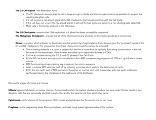 The G1 Checkpoint—the Restriction Point
• The G1 checkpoint ensures that the cell is large enough to divide and that enough nutrients are available to support the
resulting daughter cells.
• If a cell receives a ‘go-ahead’ signal at the G1 checkpoint, it will usually continue with the Cell Cycle.
• If the cell does not receive the ‘go-ahead’ signal, it will exit the Cell Cycle and switch to a non-dividing state called G0.
• Most cells in the human body are in the G0 phase.
The G2 Checkpoint—ensures that DNA replication in S phase has been successfully completed.
The Metaphase Checkpoint—ensures that all of the chromosomes are attached to the mitotic spindle by a kinetochore.
Kinase—a protein which activates or deactivates another protein by phosphorylating them. Kinases give the ‘go-ahead’ signals at the
G1 and G2 checkpoints. The kinases that drive these checkpoints must themselves be activated.
• The activating molecule is a cyclin, a protein that derives its name from its cyclically fluctuating concentration in the cell.
Because of this requirement, these kinases are called cyclin-dependent kinases or CDKs.
• Cyclins accumulate during the G1, S, and G2 phases of the Cell Cycle.
• By the G2 checkpoint, enough cyclin is available to form MPF complexes (aggregations of CDK and cyclin) which initiate
mitosis.
• MPF functions by phosphorylating key proteins in the mitotic sequence.
• Later in mitosis, MPF switches itself off by initiating a process which leads to the destruction of cyclin.
• CDK, the non-cyclin part of MPF, persists in the cell as an inactive form until it associates with new cyclin molecules
synthesized during the interphase of the next round of the Cell Cycle.
Discuss the stages of mitosis and meiosis.
Mitosis (apparent division)—is nuclear division; the process by which the nucleus divides to produce two new nuclei. Mitosis results in two
daughter cells that are genetically identical to each other and to the parental cell from which they came.
Cytokinesis—is the division of the cytoplasm. Both mitosis and cytokinesis last for around one to two hours.
Prophase—is the preparatory stage, During prophase, centrioles move toward opposite sides of the nucleus. 
 