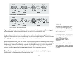 Figure 2: Dehydration synthesis of disaccharides from monosaccharide components (Source: https://
bealbio.wikispaces.com/file/view/disaccharides.JPG/364413582/disaccharides.JPG)
Longer polysaccharide chains are formed by monomer addition through succeeding dehydration
reactions. These reactions can occur in the human liver as carbohydrates are stored as polysaccharides
called glycogen or in ground tissues of plants where these are stored as starch.
Polysaccharides are broken down into simpler components through the use of water to break covalent
bonds and release energy. The process, known as hydrolysis (hydro means water and lysis means split),
is the opposite of dehydration reactions and often occurs in the digestive tract during chemical and
mechanical digestion. Here, enzymes break bonds within polysaccharides. With the aid of water, one –
H group attaches to a monosaccharide while another –OH group attaches to the other.
Comprehension question: How many molecules of water are needed to completely hydrolyze a
polysaccharide that is one thousand monosaccharides long?  
62
Teacher tip
Use ball and stick models or plastic blocks
to demonstrate how dehydration and
hydrolysis reactions occur. Simple reusable
ones may be constructed from toothpicks or
clay or similar materials.
If a projector is available, you may also use
animations like the ones found at <http://
www.cengage.com/biology/
discipline_content/animations/
reaction_types.swfto> to help in
visualization.
Correct response: 999 water molecules
During the discussion, invite the learners to
find different kinds of carbohydrates in their
food labels.
 