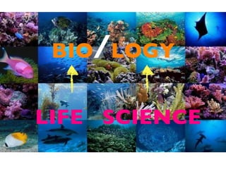 BIO / LOGY LIFE   SCIENCE 
