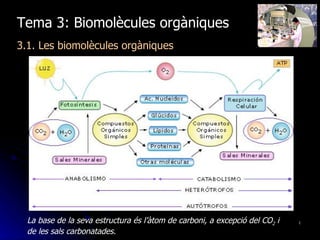 Tema 3: Biomolècules orgàniques 3.1. Les biomolècules orgàniques La base de la seva estructura és l’àtom de carboni, a excepció del CO 2  i de les sals carbonatades.   