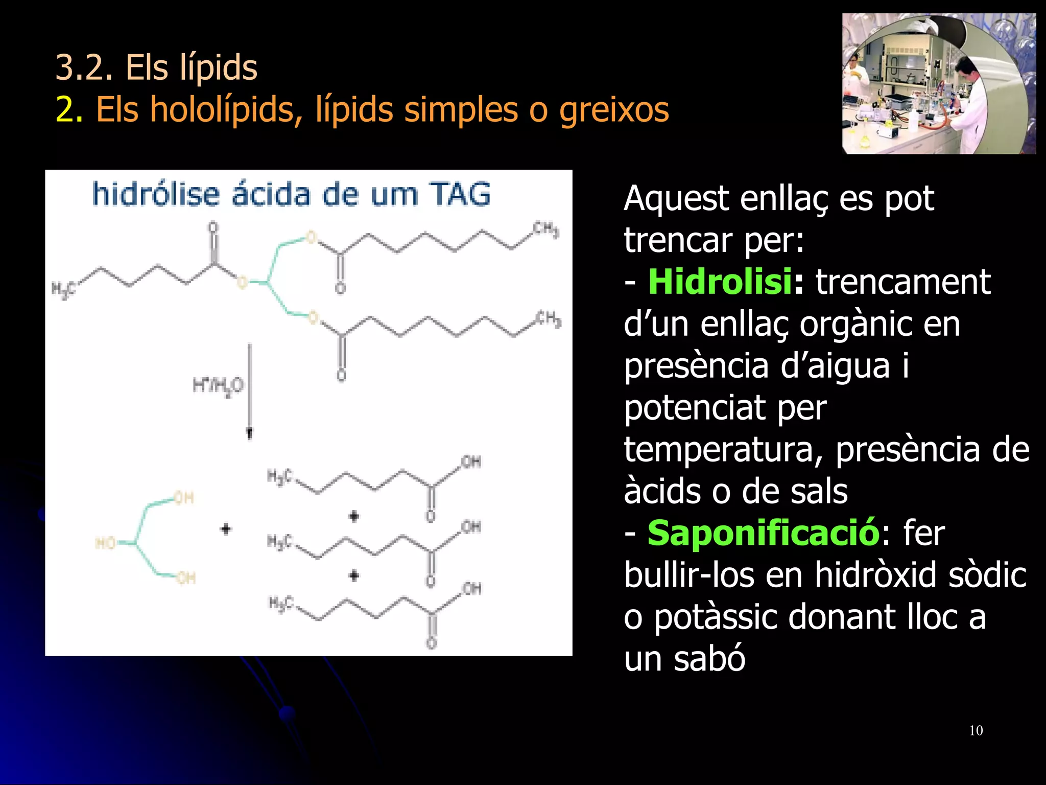 Aquest enllaç es pot trencar per: -  Hidrolisi :  trencament d’un enllaç orgànic en presència d’aigua i potenciat per temperatura, presència de àcids o de sals -  Saponificació : fer bullir-los en hidròxid sòdic o potàssic donant lloc a un sabó 3.2. Els lípids 2.  Els hololípids, lípids simples o greixos 