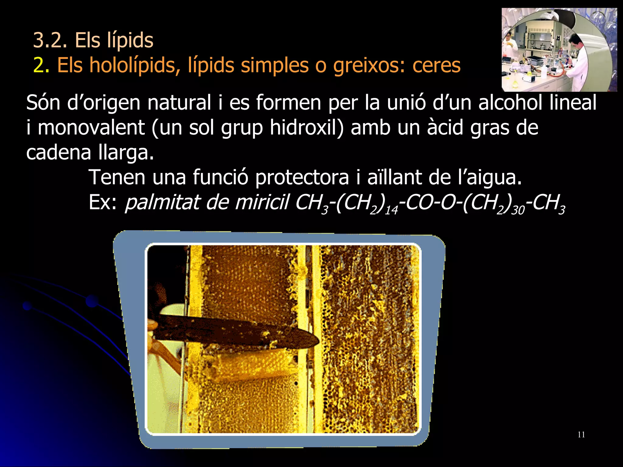 Són d’origen natural i es formen per la unió d’un alcohol lineal i monovalent (un sol grup hidroxil) amb un àcid gras de cadena llarga. Tenen una funció protectora i aïllant de l’aigua. Ex:  palmitat de miricil CH 3 -(CH 2 ) 14 -CO-O-(CH 2 ) 30 -CH 3 3.2. Els lípids 2.  Els hololípids, lípids simples o greixos: ceres 