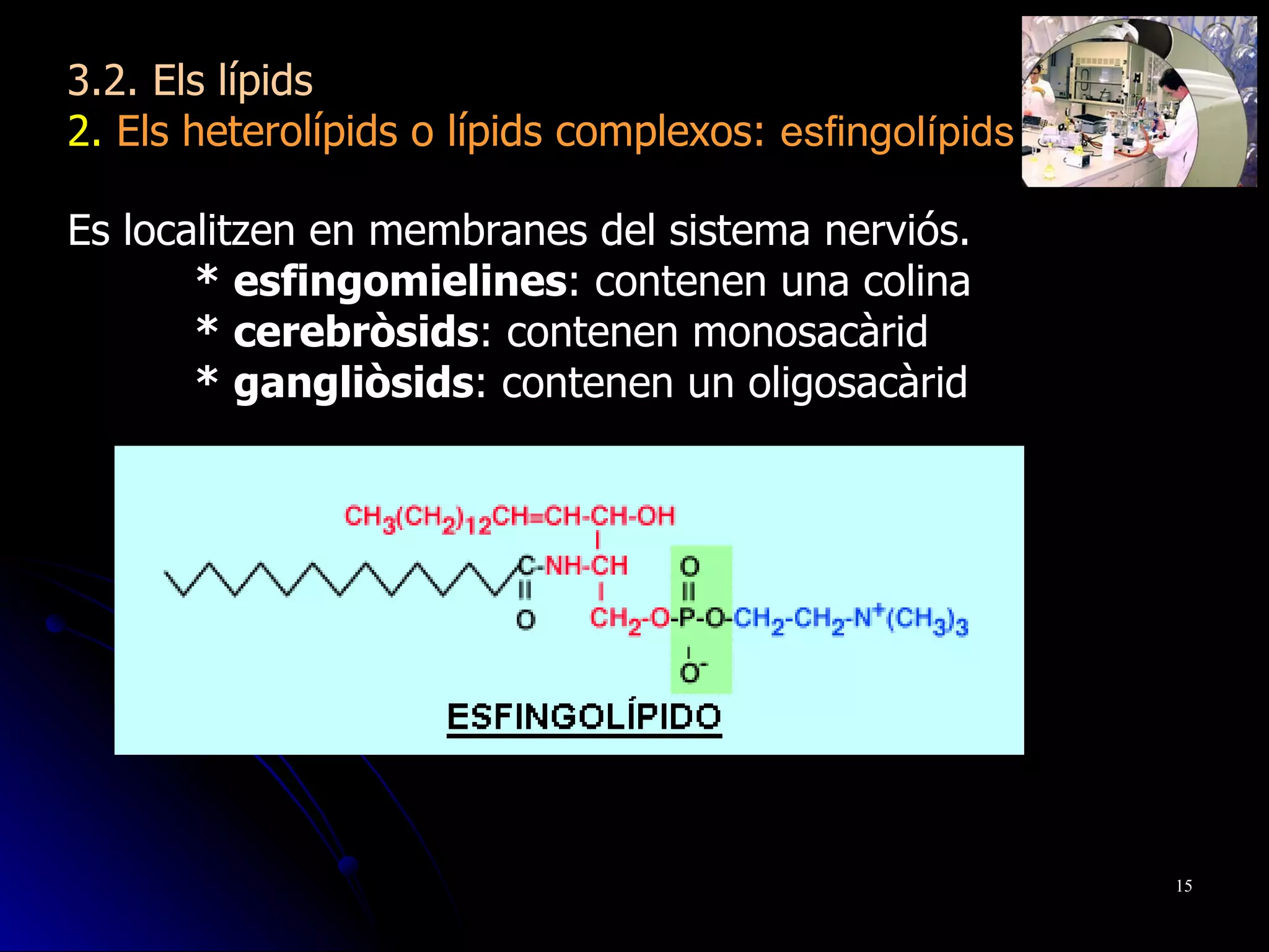Es localitzen en membranes del sistema nerviós. * esfingomielines : contenen una colina  * cerebròsids : contenen monosacàrid * gangliòsids : contenen un oligosacàrid 3.2. Els lípids 2.  Els heterolípids o lípids complexos:  esfingolípids 