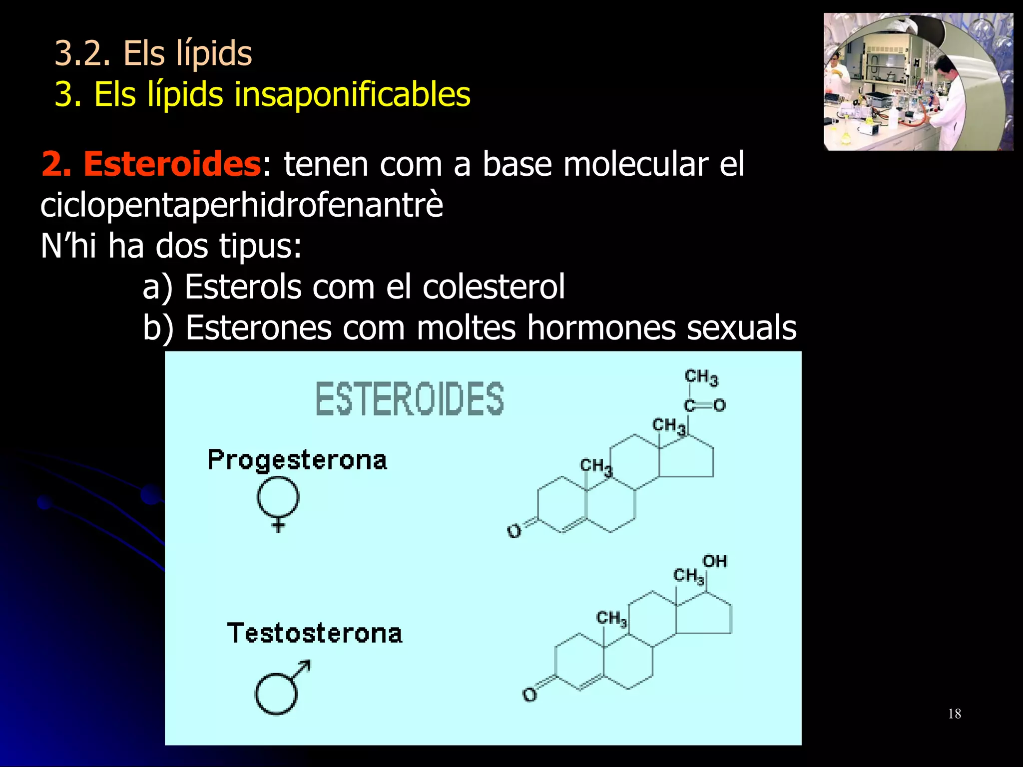 2. Esteroides : tenen com a base molecular el ciclopentaperhidrofenantrè   N’hi ha dos tipus: a) Esterols com el colesterol b) Esterones com moltes hormones sexuals 3.2. Els lípids 3. Els lípids insaponificables  