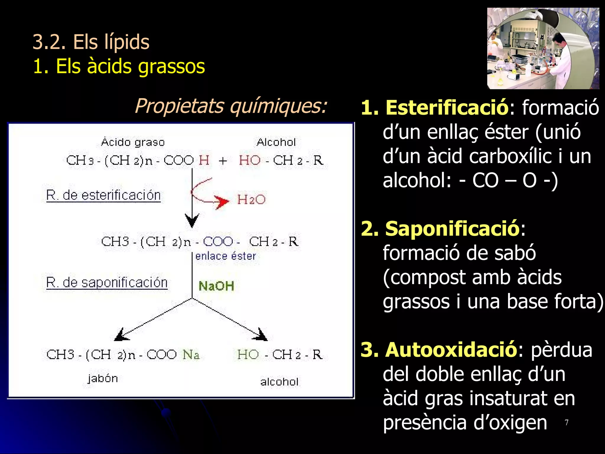 3.2. Els lípids 1. Els àcids grassos 1. Esterificació : formació d’un enllaç éster (unió d’un àcid carboxílic i un alcohol: - CO – O -) 2. Saponificació : formació de sabó  (compost amb àcids grassos i una base forta) 3. Autooxidació : pèrdua del doble enllaç d’un àcid gras insaturat en presència d’oxigen Propietats químiques: 
