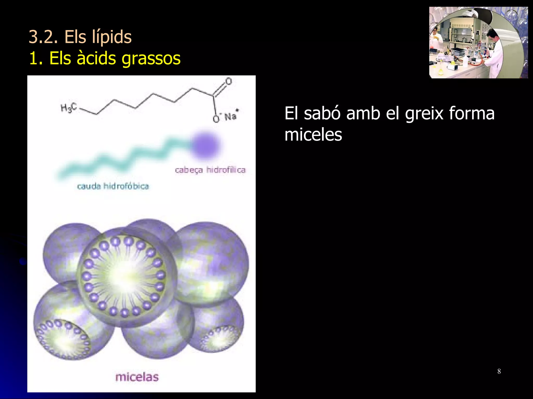 3.2. Els lípids 1. Els àcids grassos El sabó amb el greix forma miceles 