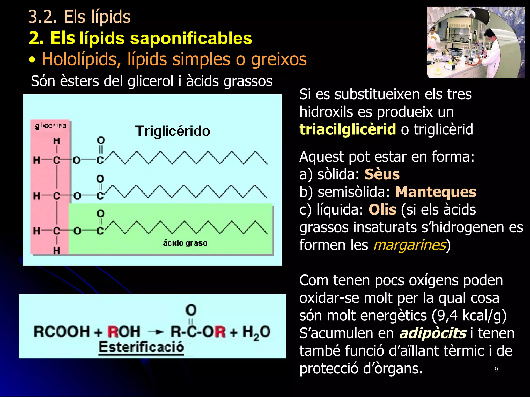 3.2. Els lípids 2. Els   lípids saponificables   Hololípids, lípids simples o greixos Són èsters del glicerol i àcids grassos Si es substitueixen els tres hidroxils es produeix un  triacilglicèrid  o triglicèrid   Aquest pot estar en forma: a) sòlida:  Sèus b) semisòlida:  Manteques c) líquida:  Olis   (si els àcids grassos insaturats s’hidrogenen es formen les  margarines ) Com tenen pocs oxígens poden oxidar-se molt per la qual cosa són molt energètics (9,4 kcal/g) S’acumulen en  adipòcits  i tenen també funció d’aïllant tèrmic i de protecció d’òrgans. 