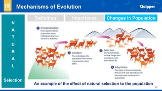 Evolution In Random Process BIO2-11_12-Q3-0401-PF-FD.pptx