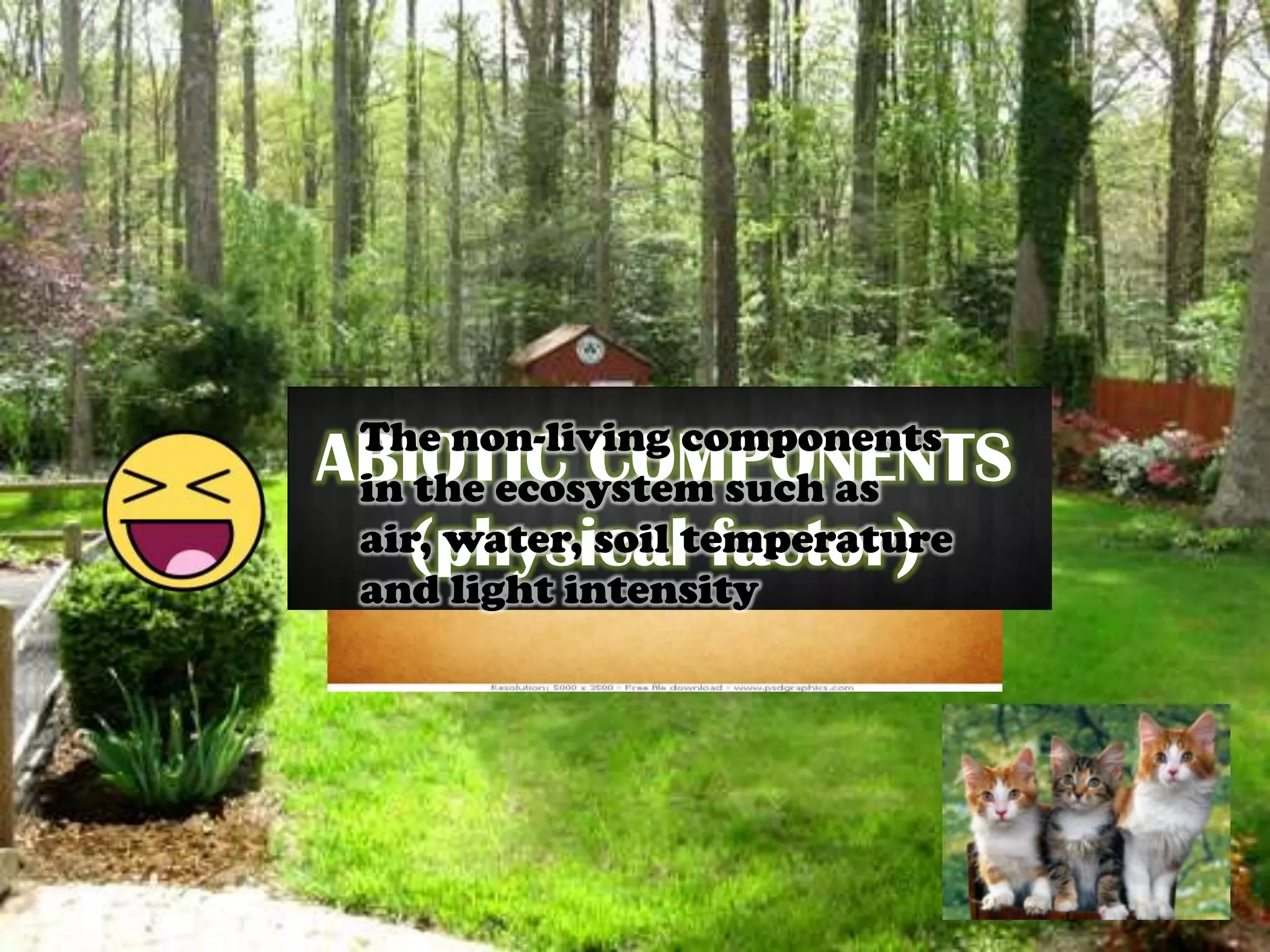 biology-abiotic-components-ppt