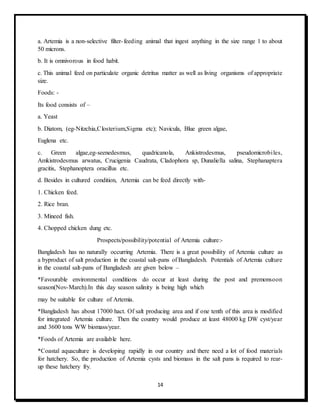 14
a. Artemia is a non-selective filter-feeding animal that ingest anything in the size range 1 to about
50 microns.
b. It is omnivorous in food habit.
c. This animal feed on particulate organic detritus matter as well as living organisms of appropriate
size.
Foods: -
Its food consists of –
a. Yeast
b. Diatom, (eg-Nitzchia,Closterium,Sigma etc); Navicula, Blue green algae,
Euglena etc.
c. Green algae,eg-seenedesmus, quadricanola, Ankistrodesmus, pseudomicrobiles,
Amkistrodesmus arwatus, Crucigenia Caudrata, Cladophora sp, Dunaliella salina, Stephanaptera
gracitis, Stephanoptera oracillus etc.
d. Besides in cultured condition, Artemia can be feed directly with-
1. Chicken feed.
2. Rice bran.
3. Mineed fish.
4. Chopped chicken dung etc.
Prospects/possibility/potential of Artemia culture:-
Bangladesh has no naturally occurring Artemia. There is a great possibility of Artemia culture as
a byproduct of salt production in the coastal salt-pans of Bangladesh. Potentials of Artemia culture
in the coastal salt-pans of Bangladesh are given below –
*Favourable environmental conditions do occur at least during the post and premonsoon
season(Nov-March).In this day season salinity is being high which
may be suitable for culture of Artemia.
*Bangladesh has about 17000 hact. Of salt producing area and if one tenth of this area is modified
for integrated Artemia culture. Then the country would produce at least 48000 kg DW cyst/year
and 3600 tons WW biomass/year.
*Foods of Artemia are available here.
*Coastal aquaculture is developing rapidly in our country and there need a lot of food materials
for hatchery. So, the production of Artemia cysts and biomass in the salt pans is required to rear-
up these hatchery fry.
 