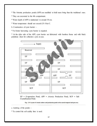 17
* The Artemia production ponds (APP) are modified to hold more bring than the traditional ones.
* They are excavated in the 4th compartment.
* Water depth of APP is maintained to around 30 cm.
* Water temperature should not exceed (35-36)o C.
b. Construction of cysts barrier: -
* For better harvesting cysts barrier is required.
* At the dyke side of the APP, cysts barrier are fabricated with bamboo frame and with black
polythene sheet for collection cysts at case.
c. Limiting of the ponds: -
* To control the soil acidity lime is used.
 