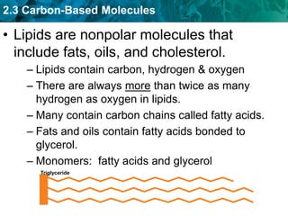 2.3 Carbon-Based Molecules
– Lipids contain carbon, hydrogen & oxygen
– There are always more than twice as many
hydrogen as oxygen in lipids.
– Many contain carbon chains called fatty acids.
– Fats and oils contain fatty acids bonded to
glycerol.
– Monomers: fatty acids and glycerol
• Lipids are nonpolar molecules that
include fats, oils, and cholesterol.
Triglyceride
 
