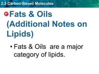 2.3 Carbon-Based Molecules
Fats & Oils
(Additional Notes on
Lipids)
• Fats & Oils are a major
category of lipids.
 