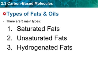 2.3 Carbon-Based Molecules
Types of Fats & Oils
• There are 3 main types:
1. Saturated Fats
2. Unsaturated Fats
3. Hydrogenated Fats
 