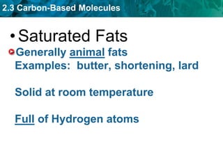 2.3 Carbon-Based Molecules
Generally animal fats
Examples: butter, shortening, lard
Solid at room temperature
Full of Hydrogen atoms
•Saturated Fats
 