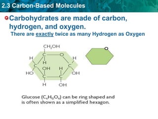 2.3 Carbon-Based Molecules
Carbohydrates are made of carbon,
hydrogen, and oxygen.
There are exactly twice as many Hydrogen as Oxygen
 