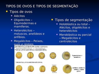 TIPOS DE OVOS E TIPOS DE SEGMENTAÇÃO
TIPOS DE OVOS E TIPOS DE SEGMENTAÇÃO
 Tipos de ovos
Tipos de ovos
 Alécitos
Alécitos
 Oligolécitos –
Oligolécitos –
Equinodermas e
Equinodermas e
mamíferos.
mamíferos.
 Heterolécitos –
Heterolécitos –
moluscos, anelídeos e
moluscos, anelídeos e
anfíbios.
anfíbios.
 Megalécitos – Peixes,
Megalécitos – Peixes,
aves e répteis.
aves e répteis.
 Centrolécitos – insetos
Centrolécitos – insetos
 Tipos de segmentação
Tipos de segmentação
 Holoblástica ou total –
Holoblástica ou total –
Alécitos, oligolécitos e
Alécitos, oligolécitos e
heterolécitos
heterolécitos
 Meroblástica ou parcial
Meroblástica ou parcial
– Megalécitos e
– Megalécitos e
centrolécitos
centrolécitos
 