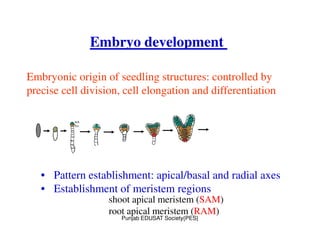 Botany notes double fertilization........ | PDF