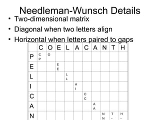 Needleman-Wunsch Details
• Two-dimensional matrix
• Diagonal when two letters align
• Horizontal when letters paired to gaps
C O E L A C A N T H
P
C
P
O
E
E
E
L L
L
I
A
I
C C
C
A A
A
N N
N
T
-
H
-
 