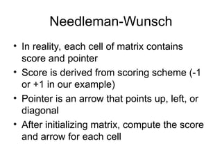 Needleman-Wunsch
• In reality, each cell of matrix contains
score and pointer
• Score is derived from scoring scheme (-1
or +1 in our example)
• Pointer is an arrow that points up, left, or
diagonal
• After initializing matrix, compute the score
and arrow for each cell
 