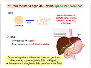 Bile:
BILE
Aumenta a área de
contato para ação das
lipases – A BILE NÃO
É ENZIMA!
** Para facilitar a ação da Enzima lipase Pancreática:
 BILE:
 Produção  Fígado
 Armazenamento  Vesícula Biliar
Gordura
Quando ingerimos alimentos ricos em gordura:
Aumenta a produção de Bile no Fígado;
Aumenta a liberação de Bile pela Vesícula Biliar
 