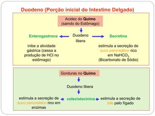 Duodeno (Porção inicial do Intestino Delgado)
Acidez do Quimo
(saindo do Estômago)
Duodeno
libera
Enterogastrona
inibe a atividade
gástrica (cessa a
produção de HCl no
estômago)
Secretina
estimula a secreção de
suco pancreático rico
em NaHCO3
(Bicarbonato de Sódio)
Gorduras no Quimo
Duodeno libera
estimula a secreção de
bile pelo fígado
colecistocininaestimula a secreção de
suco pancreático rico em
enzimas
 