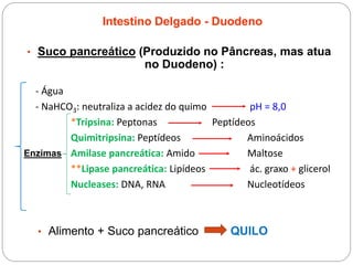Intestino Delgado - Duodeno
• Suco pancreático (Produzido no Pâncreas, mas atua
no Duodeno) :
- Água
- NaHCO3: neutraliza a acidez do quimo pH = 8,0
*Tripsina: Peptonas Peptídeos
Quimitripsina: Peptídeos Aminoácidos
Amilase pancreática: Amido Maltose
**Lipase pancreática: Lipídeos ác. graxo + glicerol
Nucleases: DNA, RNA Nucleotídeos
Enzimas
• Alimento + Suco pancreático QUILO
 