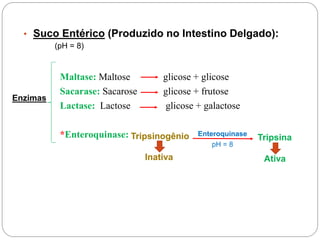Maltase: Maltose glicose + glicose
Sacarase: Sacarose glicose + frutose
Lactase: Lactose glicose + galactose
*Enteroquinase:
• Suco Entérico (Produzido no Intestino Delgado):
Enzimas
(pH = 8)
Tripsinogênio Tripsina
Inativa Ativa
Enteroquinase
pH = 8
 
