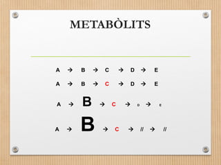 METABÒLITS 
A  B  C  D  E 
A  B  C  D  E 
A  B  C  D  E 
A  B  C  //  // 
 