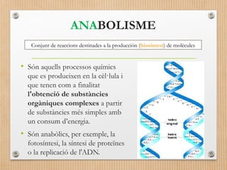 ANABOLISME 
Conjunt de reaccions destinades a la producción (biosíntesi) de molècules 
• Són aquells processos químics 
que es produeixen en la cèl·lula i 
que tenen com a finalitat 
l'obtenció de substàncies 
orgàniques complexes a partir 
de substàncies més simples amb 
un consum d’energia. 
• Són anabòlics, per exemple, la 
fotosíntesi, la síntesi de proteïnes 
o la replicació de l'ADN. 
 