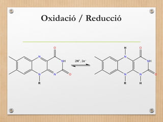 Oxidació / Reducció 
 