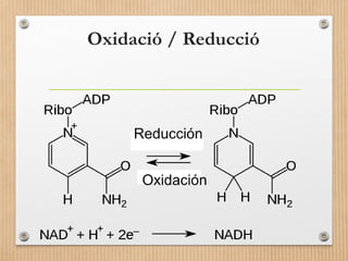 Oxidació / Reducció 
 