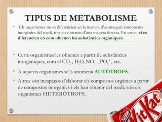 TIPUS DE METABOLISME 
• Els organismes no es diferencien en la manera d’aconseguir compostos 
inorgànics del medi, tots els obtenen d'una manera directa. En canvi, sí es 
diferencien en com obtenen les substàncies orgàniques. 
• Certs organismes les obtenen a partir de substàncies 
inorgàniques, com el CO, HO, NO- , PO-3 , etc. 
2 23 
4 
• A aquests organismes se'ls anomena AUTÒTROFS. 
• Altres són incapaços d'elaborar els compostos orgànics a partir 
de compostos inorgànics i els han obtenir del medi, són els 
organismes HETERÒTROFS. 
 