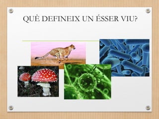 QUÈ DEFINEIX UN ÉSSER VIU? 
 