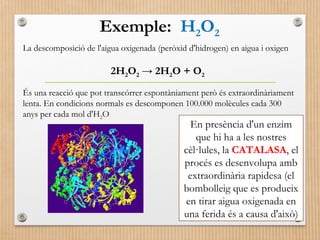 Exemple: H2O2 
La descomposició de l'aigua oxigenada (peròxid d'hidrogen) en aigua i oxigen 
2H2O2 → 2H2O + O2 
És una reacció que pot transcórrer espontàniament però és extraordinàriament 
lenta. En condicions normals es descomponen 100.000 molècules cada 300 
anys per cada mol d'H2O 
En presència d'un enzim 
que hi ha a les nostres 
cèl·lules, la CATALASA, el 
procés es desenvolupa amb 
extraordinària rapidesa (el 
bombolleig que es produeix 
en tirar aigua oxigenada en 
una ferida és a causa d'això) 
 