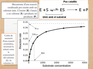 Mecanisme d'una reacció 
catalitzada per enzim amb un 
substrat únic. L'enzim (EE) s'uneix 
a un substrat (SS) i produeix un 
producte (PP). 
Corba de 
saturació 
d'una reacció 
enzimàtica, 
mostrant la 
relació entre 
la 
concentració 
del substrat 
(S) i la 
velocitat (v). 
 