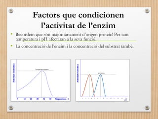 Factors que condicionen 
l’activitat de l’enzim 
• Recordem que són majoritàriament d’origen proteic! Per tant 
temperatura i pH afectaran a la seva funció. 
• La concentració de l’enzim i la concentració del substrat també. 
 