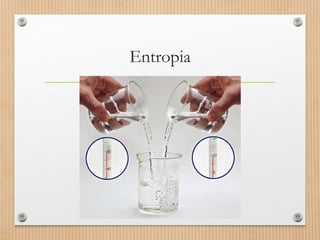 Entropia 
 