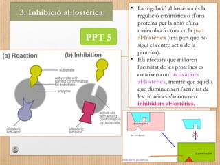 3. Inhibició al·lostèrica • La regulació al·lostèrica és la 
regulació enzimàtica o d'una 
proteïna per la unió d'una 
molècula efectora en la part 
al·lostèrica (una part que no 
sigui el centre actiu de la 
proteína). 
• Els efectors que milloren 
l'activitat de les proteïnes es 
coneixen com activadors 
al·lostèrics, mentre que aquells 
que disminueixen l'activitat de 
les proteïnes s'anomenen 
inhibidors al·lostèrics. . 
PPT 5 
 
