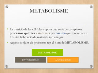 METABOLISME 
• La nutrició de les cèl·lules suposa una sèrie de complexos 
processos químics catalitzats per enzims que tenen com a 
finalitat l'obtenció de materials i/o energia. 
• Aquest conjunt de processos rep el nom de METABOLISME. 
METABOLISME 
CATABOLISME ANABOLISME 
 