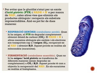  Per evitar que la glucòlisi s'aturi per un excés 
d'àcid pirúvic (PYR) i NADH + H+ o per manca 
de NAD+, calen altres vies que eliminin els 
productes obtinguts i recuperin els substrats 
imprescindibles. Això es pot fer de dues 
maneres: 
 RESPIRACIÓ AERÒBIA (catabolisme aerobi). Quan 
hi ha oxigen, el PYR és degradat completament 
obtenint diòxid de carboni (CO2). El NADH + H+ i 
altres coenzims obtinguts són oxidats i els electrons 
son transportats cap a l’oxigen (O2), recuperant-se 
el NAD+ i obtenint H2O. Aquest procés es realitza als 
mitocondris (eucariotes). 
 FERMENTACIÓ (catabolisme anaeròbic). Quan no 
hi ha oxigen l’àcid pirúvic es transforma de 
diferents maneres (sense degradar-se 
completament) a CO2 i H2O. Aquest procés té com a 
objectiu la recuperació del NAD+. En els eucariotes 
es realitza al hialoplasma. 
 