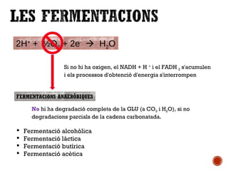 2H+ + ½O2 + 2e-  H2O 
Si no hi ha oxigen, el NADH + H + i el FADH 2 s'acumulen 
i els processos d'obtenció d'energia s'interrompen 
FERMENTACIONS ANAERÒBIQUES 
No hi ha degradació completa de la GLU (a CO2 i H2O), si no 
degradacions parcials de la cadena carbonatada. 
 Fermentació alcohòlica 
 Fermentació làctica 
 Fermentació butírica 
 Fermentació acètica 
 