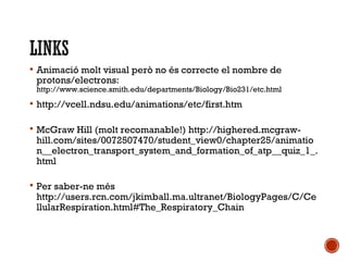  Animació molt visual però no és correcte el nombre de 
protons/electrons: 
http://www.science.smith.edu/departments/Biology/Bio231/etc.html 
 http://vcell.ndsu.edu/animations/etc/first.htm 
 McGraw Hill (molt recomanable!) http://highered.mcgraw-hill. 
com/sites/0072507470/student_view0/chapter25/animatio 
n__electron_transport_system_and_formation_of_atp__quiz_1_. 
html 
 Per saber-ne més 
http://users.rcn.com/jkimball.ma.ultranet/BiologyPages/C/Ce 
llularRespiration.html#The_Respiratory_Chain 
 