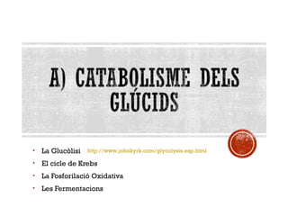• La Glucòlisi 
• El cicle de Krebs 
• La Fosforilació Oxidativa 
• Les Fermentacions 
http://www.johnkyrk.com/glycolysis.esp.html 
 