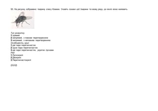 50. На рисунку зображено тварину класу Комахи. Укажіть ознаки цієї тварини та назву ряду, до якого вона належить.
Тип розвитку
1 прямий
2 непрямий, з повним перетворенням
3 непрямий, з неповним перетворенням
Особливість крил
1 дві пари перетинчастих
2 одна пара перетинчастих
3 дві пари перетинчастих, укритих лусками
Ряд
1 Лускокрилі
2 Двокрилі
3 Перетинчастокрилі
(2-2-2)
 