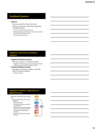 Bio 201 chapter 1 lecture | PDF
