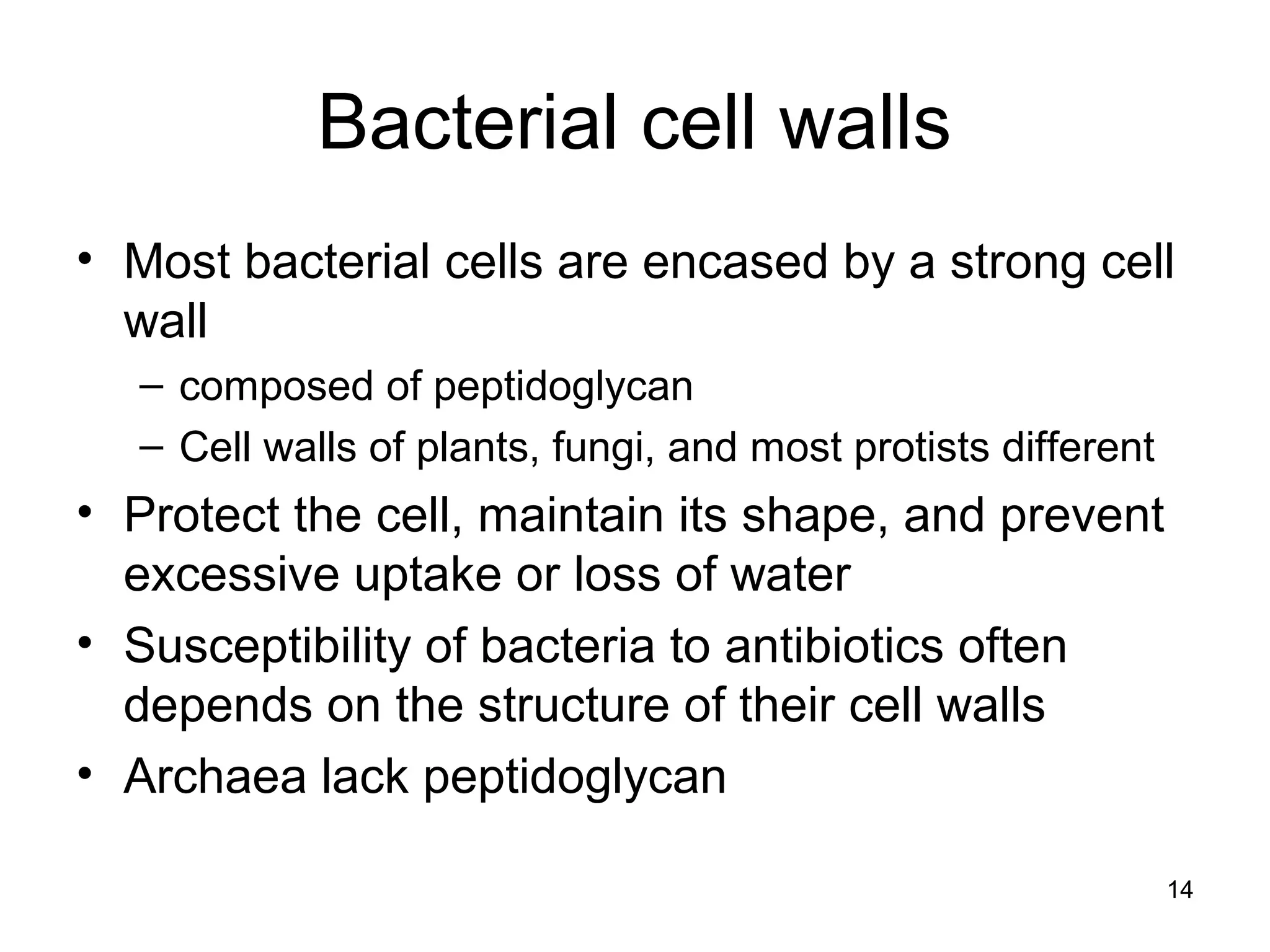 Bacterial cell walls
• Most bacterial cells are encased by a strong cell
wall
– composed of peptidoglycan
– Cell walls of plants, fungi, and most protists different
• Protect the cell, maintain its shape, and prevent
excessive uptake or loss of water
• Susceptibility of bacteria to antibiotics often
depends on the structure of their cell walls
• Archaea lack peptidoglycan
14
 