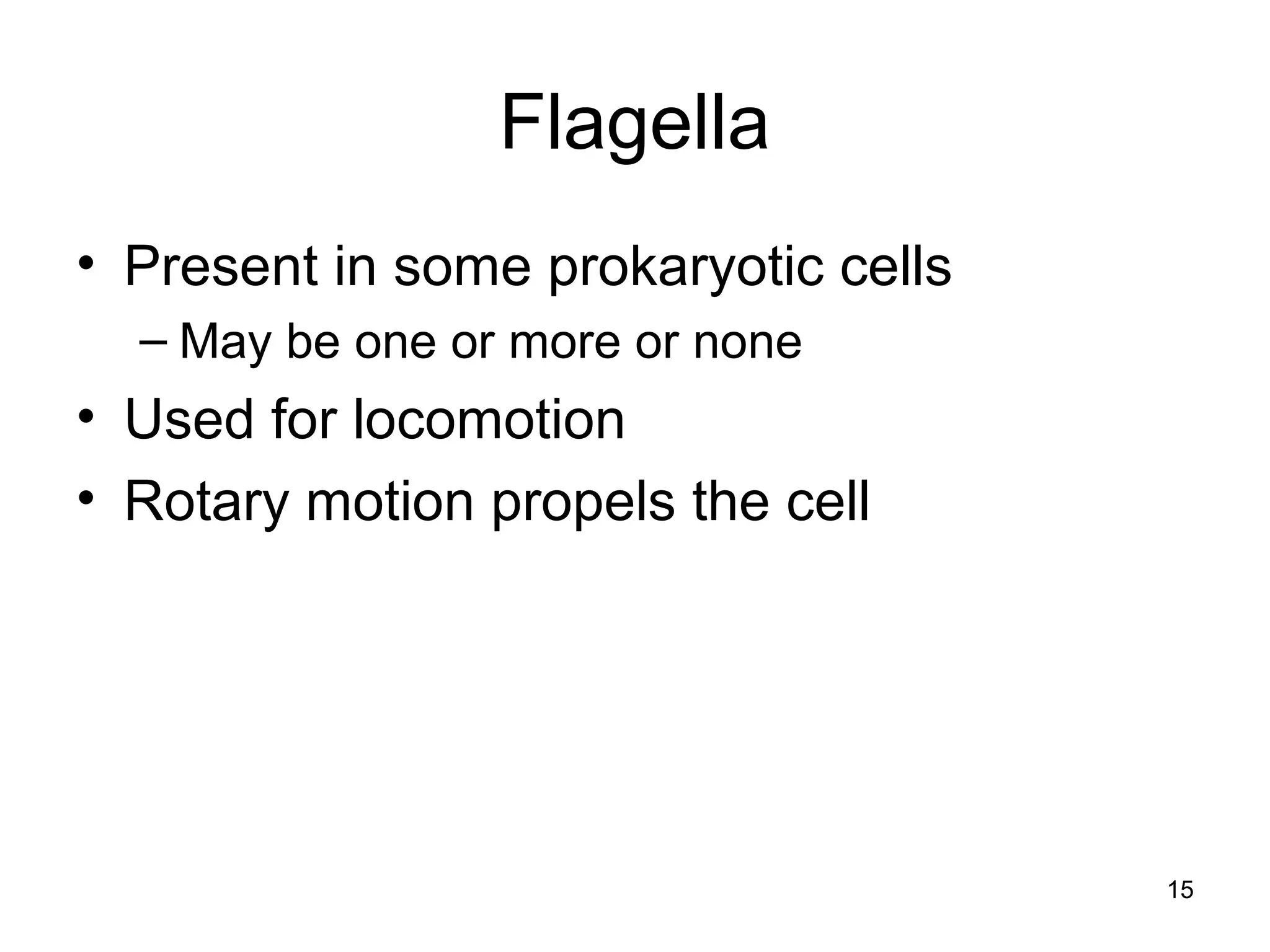 15
Flagella
• Present in some prokaryotic cells
– May be one or more or none
• Used for locomotion
• Rotary motion propels the cell
 